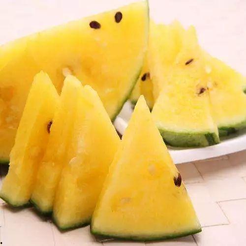 黑瓜吃料网版官网