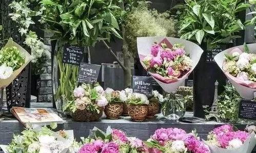 黑料吃瓜河北花店,一场关于黑料的吃瓜盛宴